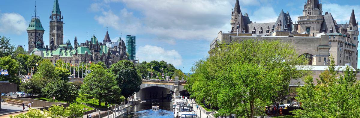 PLG_VOTE_STAR_ACTIVE