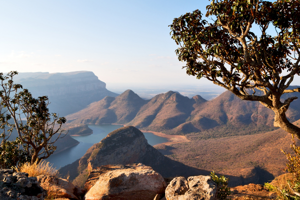 PLG_VOTE_STAR_ACTIVE